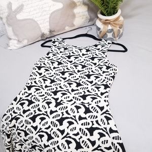 Beautiful🌹Charming Charlie dress